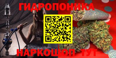 альфа пвп Заволжье