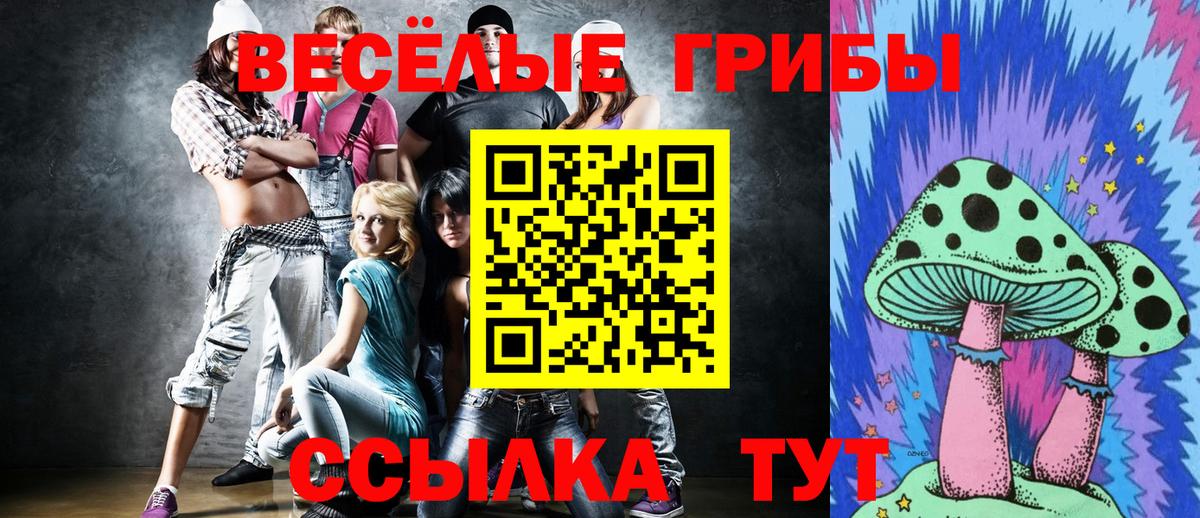 Псилоцибиновые грибы мухоморы  Псилоцибиновые грибы GOLDEN TEACHER  купить наркотик  Вход с VPN  Ивантеевка 